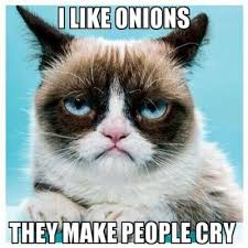 Just look at this funny, clean cat memes, and you will understand everything. 129 Hilarious Grumpy Cat Memes Yellow Blogtopus
