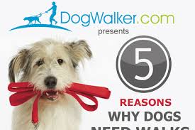 Maybe you would like to learn more about one of these? 250 Catchy Dog Walking Business Names Brandongaille Com