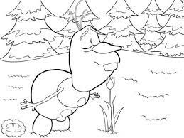 olaf smelling the flower coloring page cartoon pages frozen printable coloriage de requin nemo