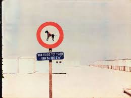 During the knokke hippique summer circuit, you will be able to compete at various levels and to ride up to five horses while combining three different divisions in three different competition arenas. A Visit To Belgian S Zoute In August Flair Gulf News