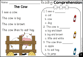 Designed for healthcare professionals, these worksheets can be used with patients to practice and work on executive functions. Reading Comprehension Colorful Cognitive Worksheets Activities Workbooks Passages Exercise Early Learning English Educational Exercise Training Book For Kids Montessori Materials Gifts Lazada Ph