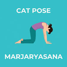 Illustration of a pregnant woman doing yoga. Cow Pose Gifs Get The Best Gif On Giphy