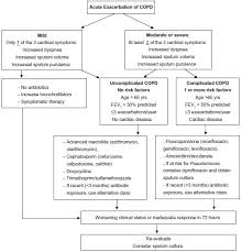 Image result for Medications in COPD Management