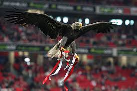 Benfica Braga Live Stream Tv Live Match
