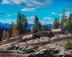 Rumbling — uk  ˈrʌmblɪŋ  / us noun  countable  word forms rumbling rumbling — i noun a loud low dull continuous noise they heard the rumbling of thunder • syn: Rumble In The Rockies Bull Elk Fighting Oil Painting Painting By Wade Flemmer
