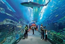 Crueparis Hashtag On Twitter In 2020 Dubai Holidays Dubai Events Dubai Tickets