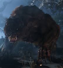 Bear Metro Wiki Fandom Powered By Wikia Bear Forest Animals Apex Predator