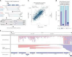 smrt cappable seq reveals complex operon variants in