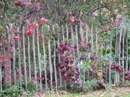 Staketenzaun 152 Cm H 5 M L Za 8 9 Cm Englischer Rollzaun Aus Kastanienholz Sichtschutzzaun Garten Vorgarten Zaun Garten