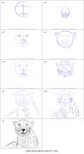 Next erase the intersecting lines of the head and. Image Result For Cheetah Face Drawing Cheetah Drawing Owls Drawing Drawing Sheet