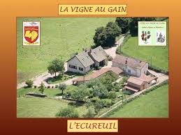 La Vigne Au Gain L Ecureuil 71250 Cluny Lournand Saone Et Loire Chalon Sur Saone Loire