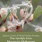 Plant Spotlight: Mountain Mahogany 10/18, 6pm event image