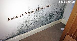 Rutubet ve nem kokusunun giderilmesinin ilk şartı ortamın sık sık havalandırılmasıdır. Rutubet Nasil Onlenir Ve Rutubet Kokusu Nasil Giderilir
