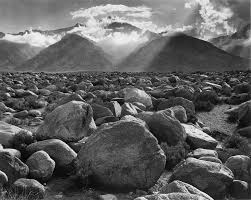 Check spelling or type a new query. Forrestville Valley Cusd 221 G Whirlwind Activity My Favorite Ansel Adams Photograph