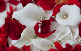 Check spelling or type a new query. Cute Red Roses Wallpaper 3 Wao Red White Roses Nice Love Rose Wallpaper Hd 2880x1800 Wallpaper Teahub Io