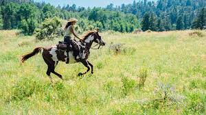 Each day at rawah ranch we offer authentic western activates & adventures for all ages. Top 20 Ranches Cherokee Park Ranch Colorado Dude Ranch Equitrekking Top 20 Ranch
