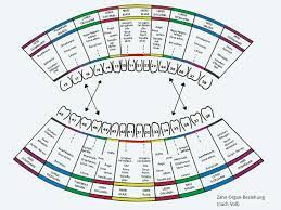 Zahn Organ Beziehung Haus Der Zahngesundheit Koln