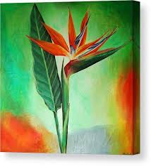 Bird Of Paradise Canvas Wall Art Bird Of Paradise Canvas Print Canvas Art By Tiffany Budd In 2020 Paradise Painting Birds Of Paradise Flower Birds Of Paradise