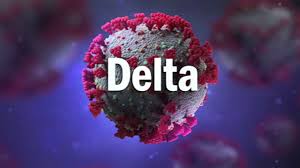 교내 관련자 검사 실시, 해당 학교 원격수업. Jjyjyqtxqenpam