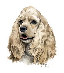Find clumber spaniel puppies for sale or stud service near you using your zip code or postal code. Cocker Spaniel Dog Art Print By Artist Dj Rogers Etsy Dog Print Art Spaniel Art Dog Art
