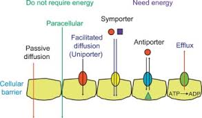 Passive Diffusion An Overview Sciencedirect Topics