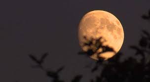 In addition to a new mission designed to challenge experienced players. Full Pink Supermoon Will Light Up Night Sky Tonight