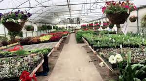 Kõik ✅1006 lennufirmade pakkumised ühes kohas. Pine S Garden Center And Greenhouse Home Facebook