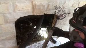 Once the chimney is full enough to their liking they then build a smaller nest within the twigs in which they lay eggs. Bird Nest Removal From Blocked Fireplace Chimney Flue Youtube