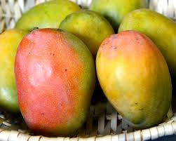 Black Mangoes, Jamaican Favourites - My Exotic Fruit - The Uk'S Leading  Exotic Fruit Retailer