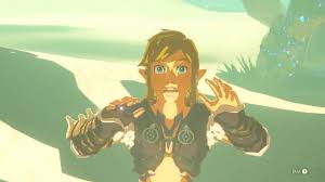 Bildergebnis für zelda links breath of the wild