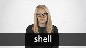 Последние твиты от shell (@shell). Shell Definition And Meaning Collins English Dictionary