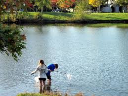 Fishing At Boundary Park Favorite Places Places Park