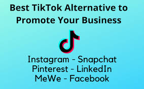 Tiktok's success has not come without controversy. Best Tiktok Alternative To Promote Your Business