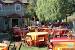 Bbq Party Setup Ideas