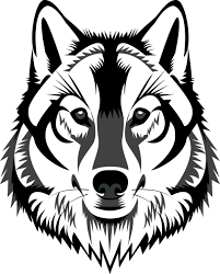 Wolf Hayvan Boyama Sayfalari Cizim Egitimleri Hayvan Cizimi