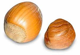 Tree Nut Allergy Wikipedia
