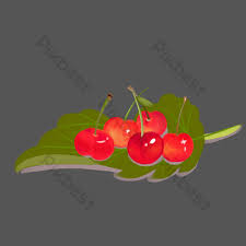 Pin amazing png images that you like. Picking Lush Fruit Cherries Png Images Psd Free Download Pikbest
