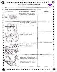 Which factor does not support darwin's theory of evolution? Evidence For Evolution Worksheet By Biology Buff Tpt