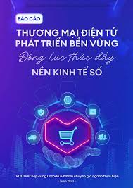 BÁO CÁO THƯƠNG MẠI ĐIỆN TỬ PHÁT TRIỂN BỀN VỮNG