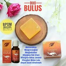 Hasil gambar untuk minyak bulus karawang