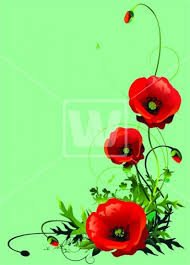 Red Poppy Vector Welcomia Imagery Stock Poppies Tattoo Poppies Red Poppies