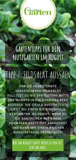 Nutzgarten Die Besten Gartentipps Im August Gartentipps Garten Und Tipps