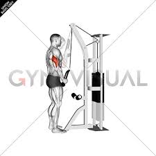 Mar 06, 2020 · the reverse grip triceps pushdown also helps to tone the triceps, biceps, and shoulders. Cable Standing One Arm Tricep Pushdown Overhand Grip