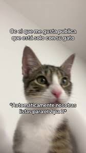 Sofi uwu (@dreamy_moo) - Urlebird