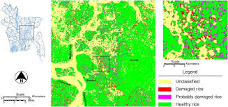 Hopefully, by now, you've realized the pattern here? Crop Damage An Overview Sciencedirect Topics