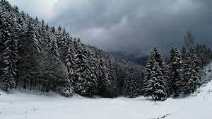 Find & download free graphic resources for snowy forest. Snow Forest Wallpapers Top Free Snow Forest Backgrounds Wallpaperaccess