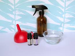 Diy hand cleaning spray with essential oil | bicultural mama. How To Make Disinfecting Spray Hgtv