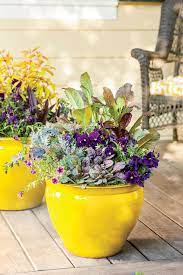 Dahlias, one of the best flowering plants for patio pots can please just about anyone with its wide range of varieties available. 30 Shade Loving Container Garden Ideas Southern Living