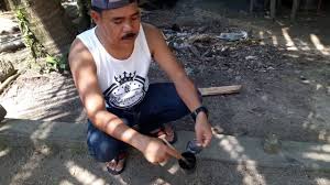 We did not find results for: Membuat Pulut Burung Bahannya Mudah Alami Youtube