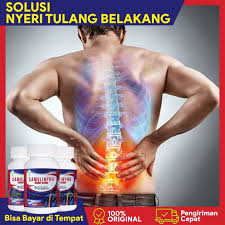 Pada persendian pinggul terdapat bantalan tulang rawan yang membantu mencegah gesekan saat tulang pinggul bergerak. Jual Obat Nyeri Tulang Belakang Nyeri Cangkeng Pinggang Samulinpro Kota Surabaya Jamu Herbal Original Tokopedia